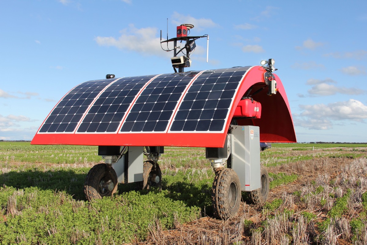 Ladybird, robot agricolo versatile progettato dall'Università di Sydney